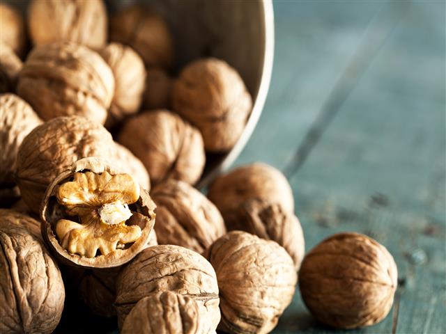 Eat Walnuts Daily For Better Gut, Heart Health