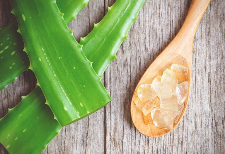 Aloe vera is an out-an-out solution for all your beauty needs.